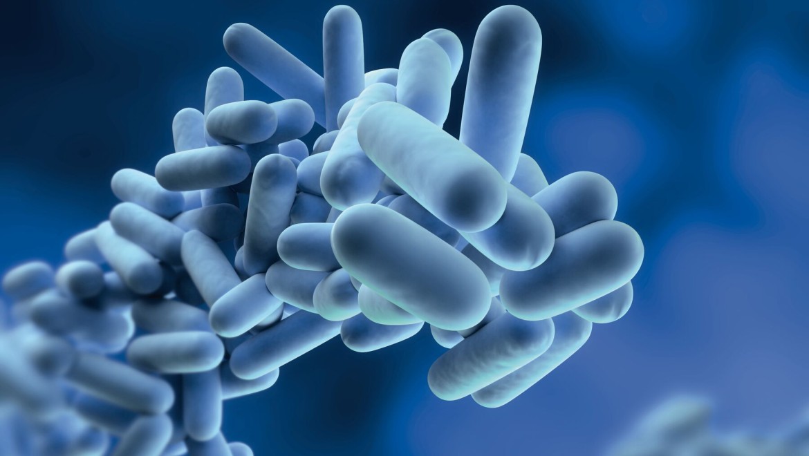 Legionella este o bacterie care se poate înmulţi în apa potabilă