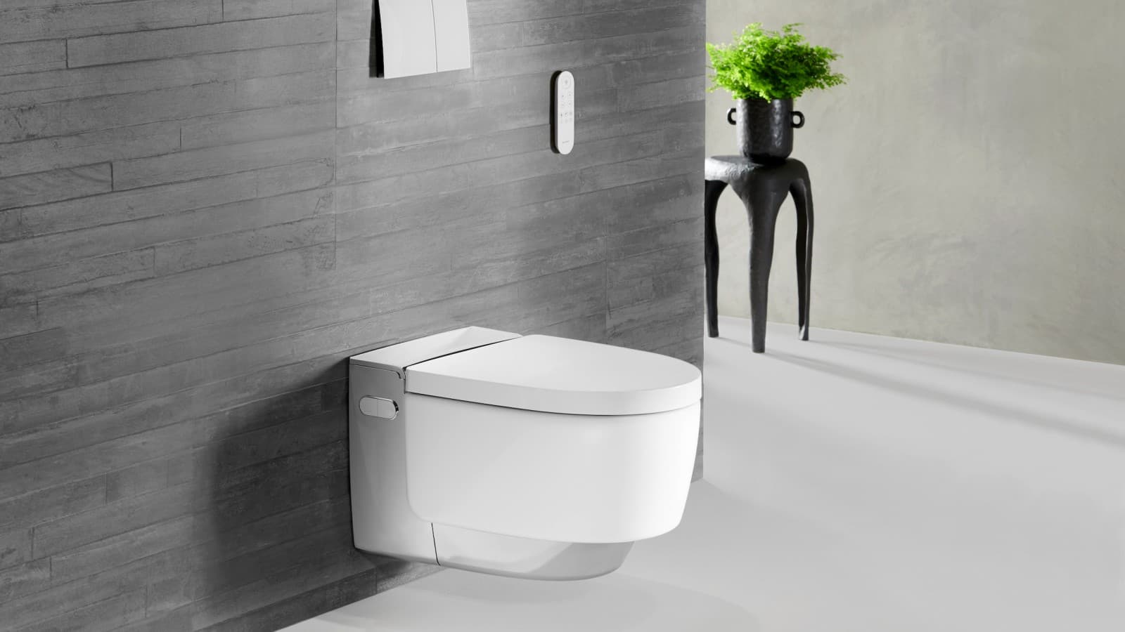 Geberit AquaClean Mera Comfort cu încalzirea colacului WC Geberit AquaClean Mera Comfort cu încalzirea colacului WC