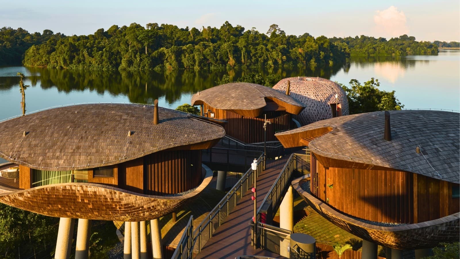 Casele din copaci sunt inspirate din păstăile de semințe și permit junglei să crească printre ele (© Banyan Tree) Casele din copaci sunt inspirate din păstăile de semințe și permit junglei să crească printre ele (© Banyan Tree)